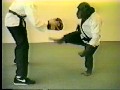 karate trained monkey.jpg